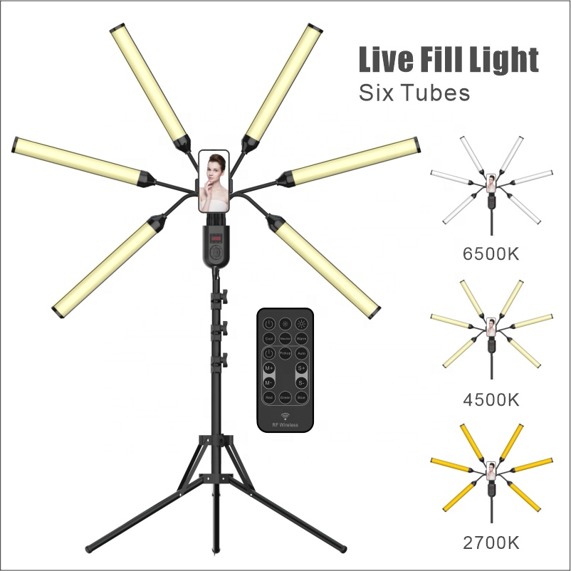 Dimmable Broadcast Lighting Ph - Beauty No Makeup 评论和价格